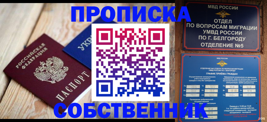 временная регистрация гарантия в Павловске